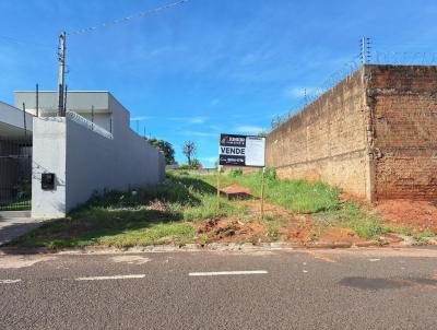imagem-miniatura
