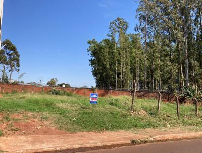 Terreno para Venda, em Ponta Por, bairro Vila Ren