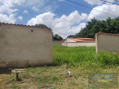 imagem-miniatura