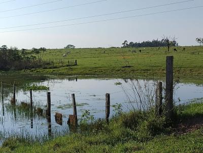 Stio para Venda, em Santa Rita do Passa Quatro, bairro 