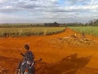 Stio para Venda, em Ribeiro Preto, bairro 