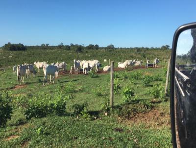 Fazenda para Venda, em Coxim, bairro 