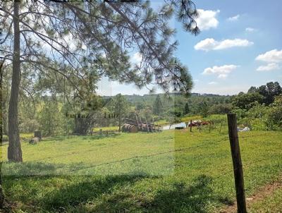 rea para Venda, em Itu, bairro VILA MARTINS
