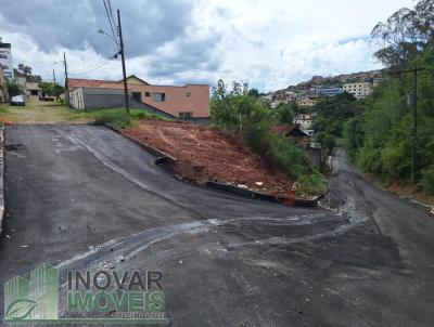 Lote para Venda, em Barbacena, bairro Santa Tereza II