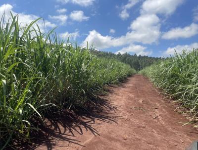 Stio para Venda, em Pirassununga, bairro 