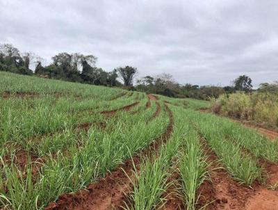 Stio para Venda, em Vargem Grande do Sul, bairro 