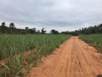 Stio para Venda, em Leme, bairro 