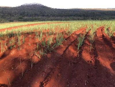 Fazenda para Venda, em Ibat, bairro 