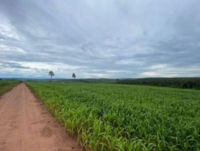 Fazenda para Venda, em Tamba, bairro 