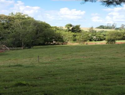 Chcara para Venda, em Santa Rosa, bairro INTERIOR