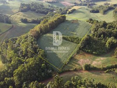 rea Rural para Venda, em Gaurama, bairro 2 km da cidade