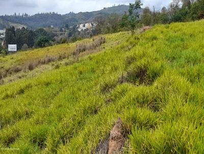 rea Industrial para Venda, em Araariguama, bairro Chcara Dora