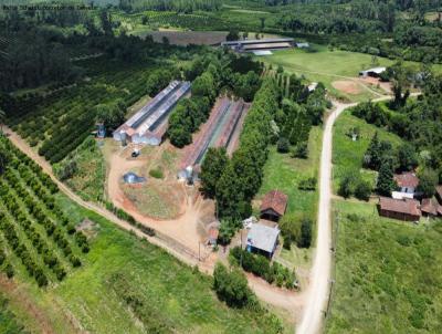 Empreendimento para Venda, em Marat, bairro Interior