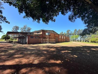 Pavilho para Venda, em Tuparendi, bairro Glria, 1 dormitrio, 6 banheiros
