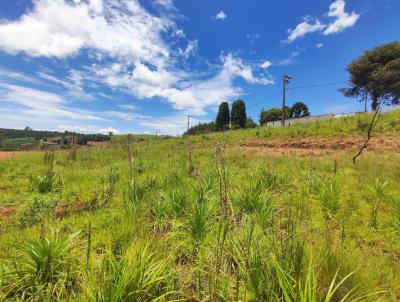 Terreno para Venda, em Toledo, bairro rea Rural