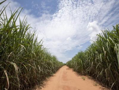 Stio para Venda, em Tamba, bairro 