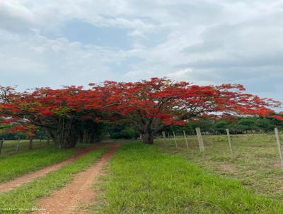 Chcara para Venda, em , bairro Prx. Suco do Japons Rod. Assis Chateaubriand