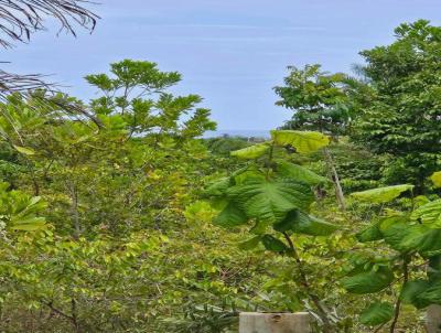 Terreno para Venda, em Porto Seguro, bairro Caraiva