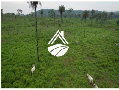 Fazenda para Venda, em Araguana, bairro rea Rural de Araguana