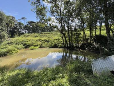 Chcara para Venda, em Mandirituba, bairro Lagoa dos Ferreiras, 5 dormitrios, 5 banheiros, 2 sutes