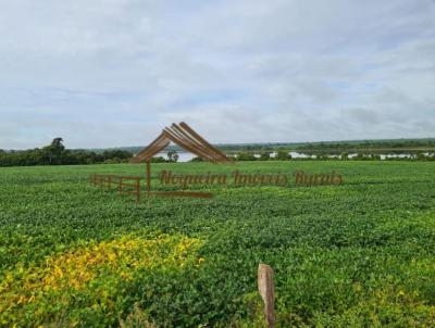 Fazenda para Venda, em Araguana, bairro rea Rural de Araguana