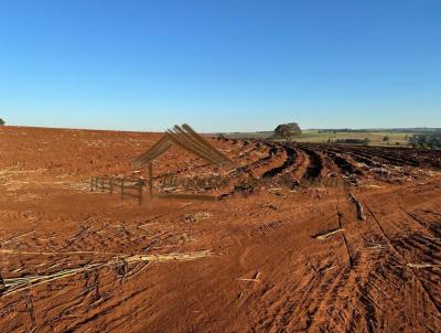 Fazenda para Venda, em Avar, bairro rea Rural de Avar