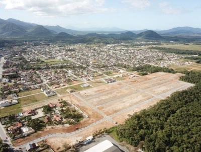Lote para Venda, em So Francisco do Sul, bairro Iperoba