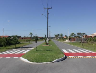 Lote para Venda, em So Francisco do Sul, bairro Praia do Ervino