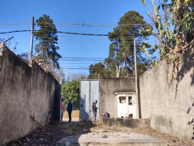 Terreno para Venda, em So Paulo, bairro Jardim Peri