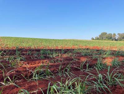 Fazenda para Venda, em Fernandpolis, bairro 