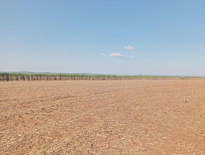 Fazenda para Venda, em Descalvado, bairro 