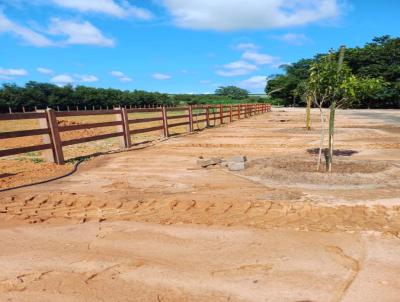 Stio para Venda, em Santa Cruz da Conceio, bairro 