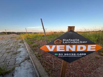 Terreno para Venda, em Venncio Aires, bairro So Francisco Xavier