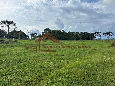 Stio para Venda, em Avar, bairro rea Rural de Avar