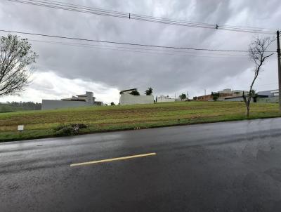 Terreno para Venda, em Mogi Mirim, bairro Condomnio Fazenda Paineiras