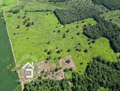 rea para Venda, em , bairro Fazenda Felicidade