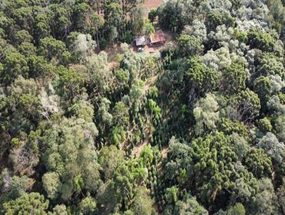 Terreno para Venda, em Trs Barras, bairro So Joo dos Cavelheiros