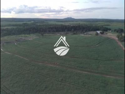 Fazenda para Venda, em Santa Maria do Tocantins, bairro Regio muito produtiva