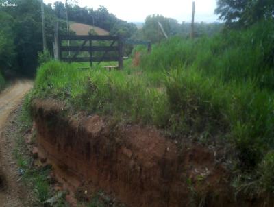 Chcara para Venda, em Pedra Bela, bairro CENTRO, 2 dormitrios, 1 banheiro, 10 vagas