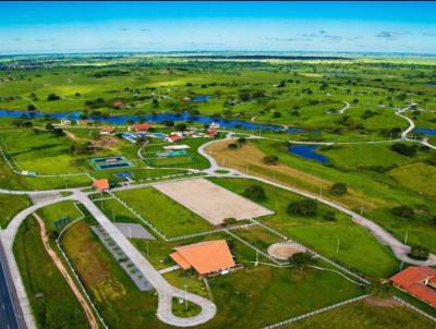 Lote para Venda, em Gurinhm, bairro 