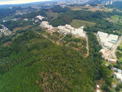 Terreno para Venda, em Caxias do Sul, bairro São Luiz