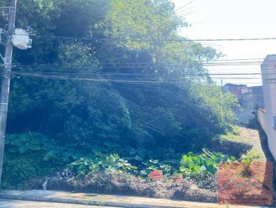 Lote para Venda, em Pouso Alegre, bairro Medicina