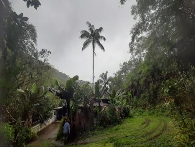 Stio para Venda, em Miracatu, bairro CAFEZAL, 5 dormitrios, 3 banheiros, 1 sute, 4 vagas