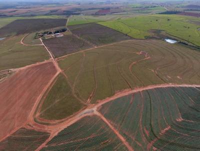 Fazenda para Venda, em Penpolis, bairro 