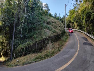 Terreno para Venda, em Domingos Martins, bairro Sede