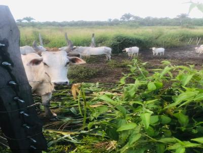 Fazenda para Venda, em Cod, bairro Zona Rural, 3 dormitrios, 1 banheiro, 4 vagas