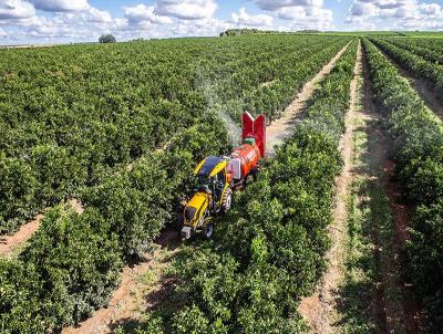 Fazenda para Venda, em Mogi Guau, bairro 