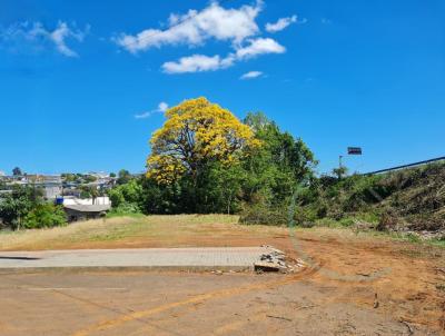 Terreno para Venda, em Xaxim, bairro Frei Bruno