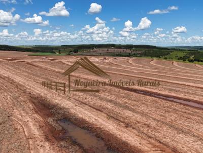 Fazenda para Venda, em Avar, bairro rea Rural de Avar