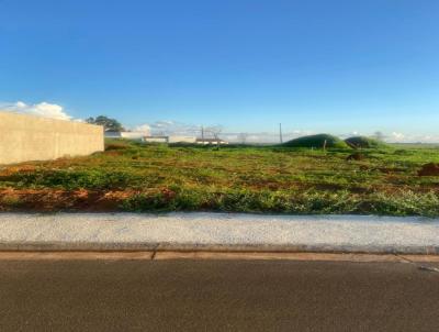 Lote para Venda, em Patos de Minas, bairro Jardim Italia